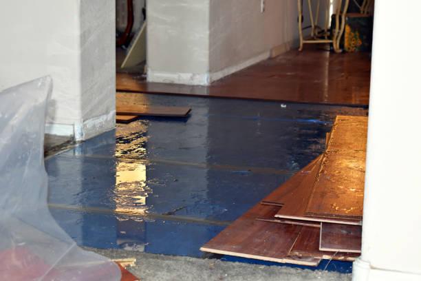 Professional Burst Pipe Cleanup technician working in Splendora, TX